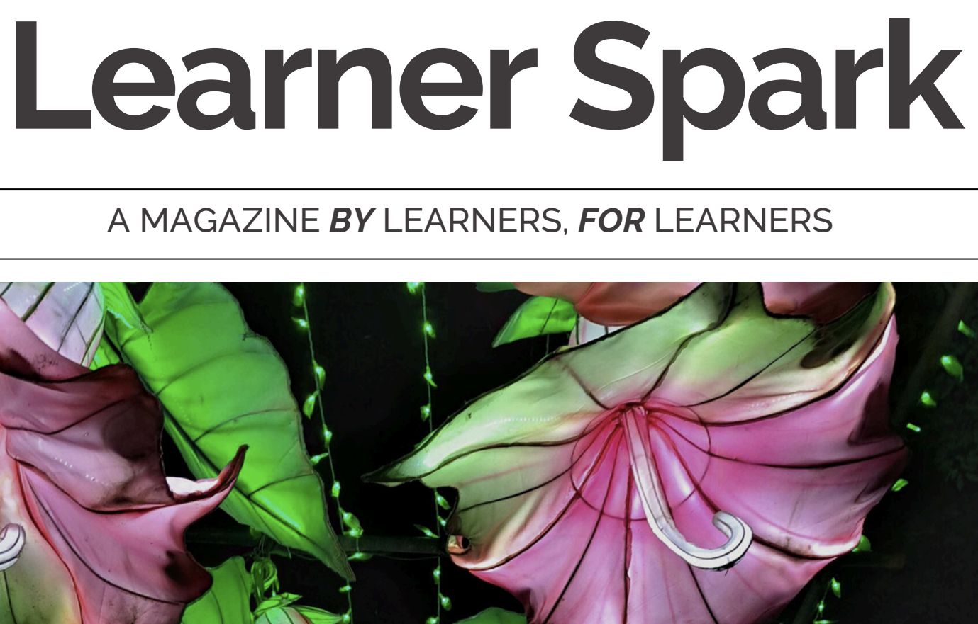 Learner Spark: Bag of Dreams by Maya