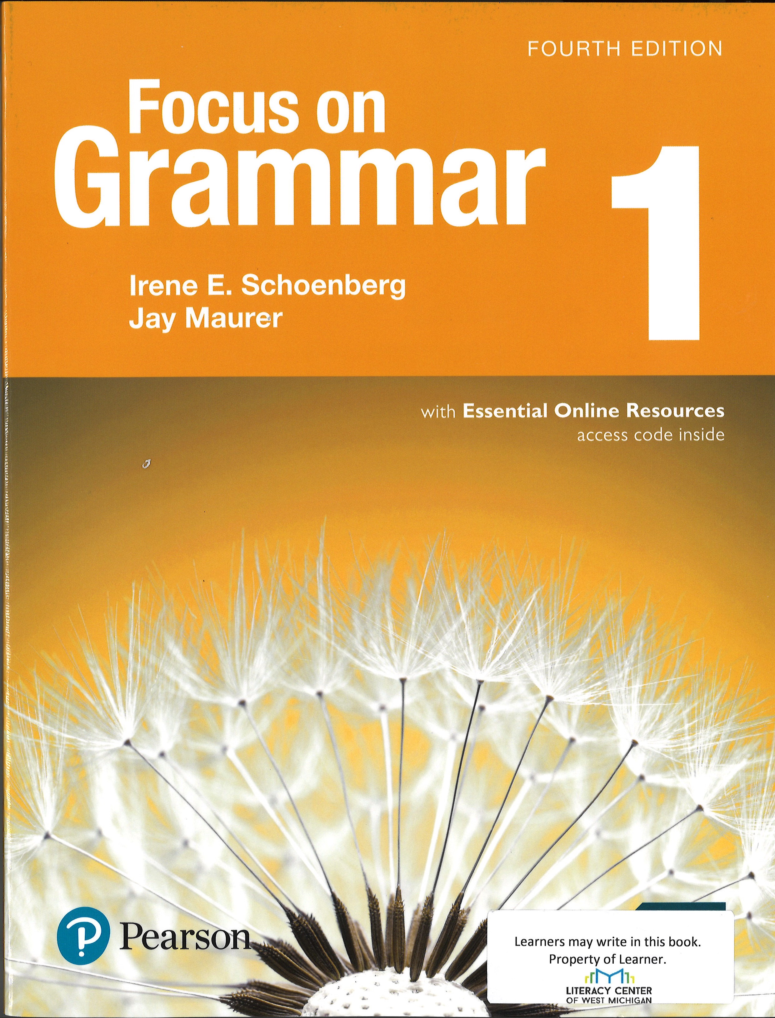 Focus on Grammar picture